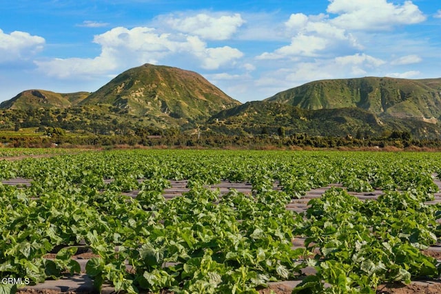 583 Ojai St, Fillmore, CA 93015 - mountain view with large plots for crops and rural landscape