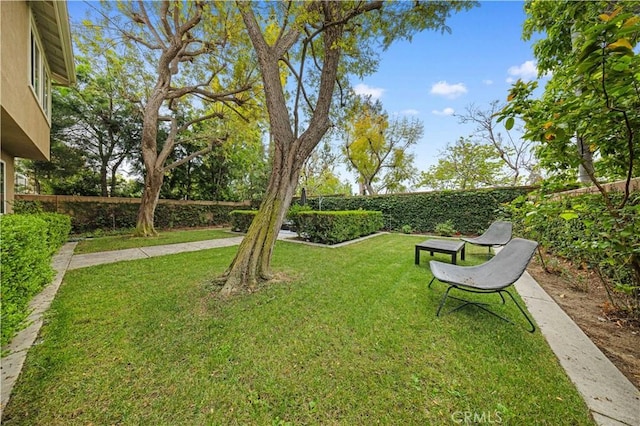 26 Middleton, Irvine, CA 92620 - view of yard