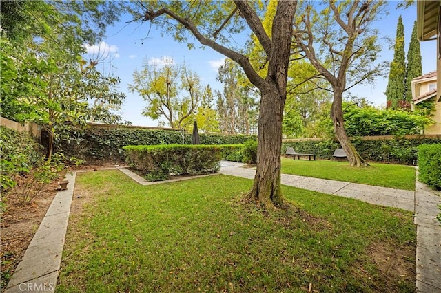 26 Middleton, Irvine, CA 92620 - view of yard
