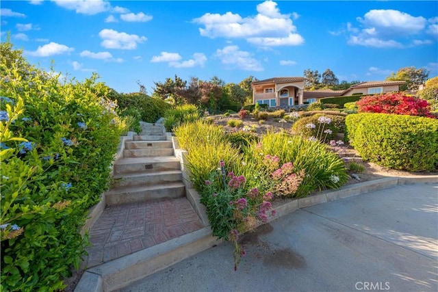6805 Aviano Dr, Camarillo, CA 93012 - photo 74