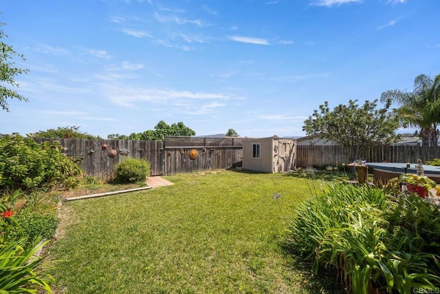 905 Discovery St, San Marcos, CA 92078 - view of yard