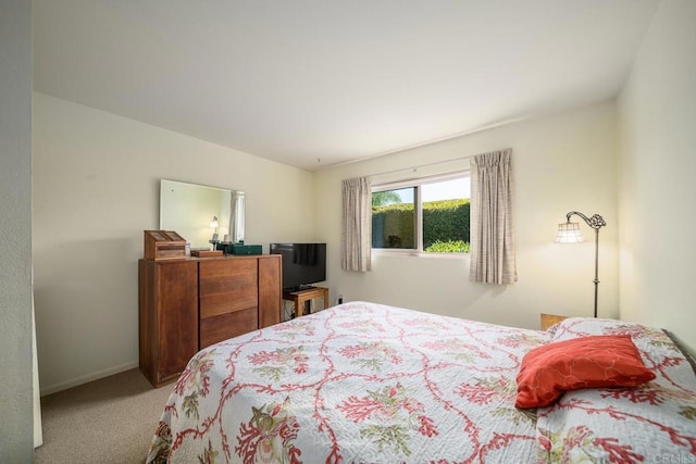 905 Discovery St, San Marcos, CA 92078 - carpeted bedroom with baseboards