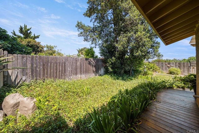 905 Discovery St, San Marcos, CA 92078 - view of yard