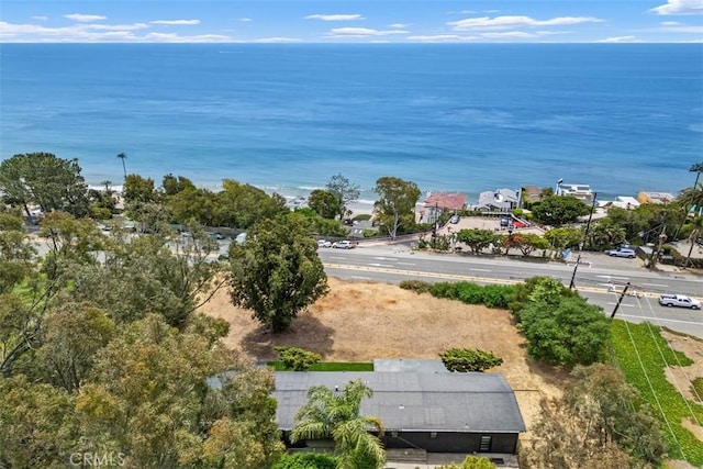 27353 Pacific Coast Hwy, Malibu, CA 90265 - photo 73