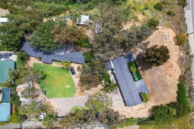 27353 Pacific Coast Hwy, Malibu, CA 90265 - photo 69