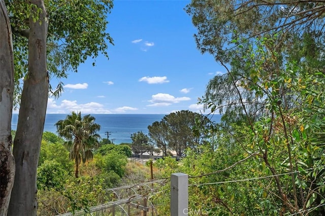 27353 Pacific Coast Hwy, Malibu, CA 90265 - photo 37