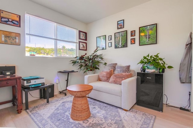 35140 Bergamot, Fallbrook, CA 92028 - sitting room featuring light wood-type flooring