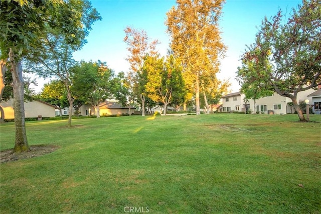 6898 Breton Way, Cypress, CA 90630 - view of green lawn featuring a residential view