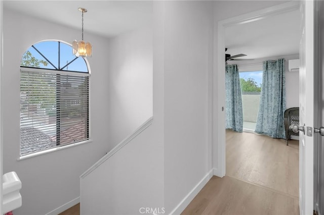 4032 Elsa St, Lakewood, CA 90712 - photo 19