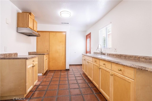 7343 Owensmouth Ave, Canoga Park, CA 91303 - kitchen featuring a sink and light brown cabinetry