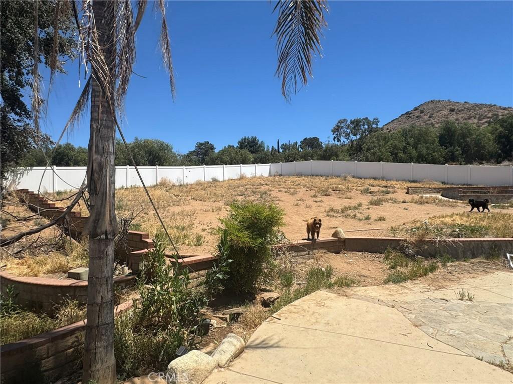 33344 Rose Ave, Acton, CA 93510 - view of yard with a mountain view
