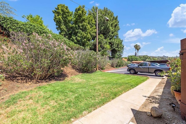 9725 Winter Gardens Blvd, Lakeside, CA 92040 - photo 30