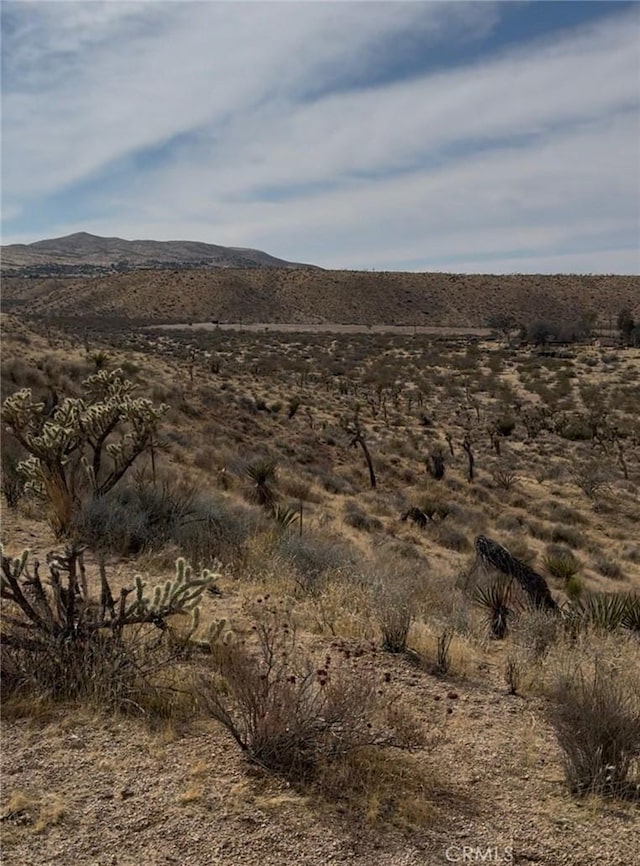 0 Ocotillo Way, Apple Valley, CA 92308