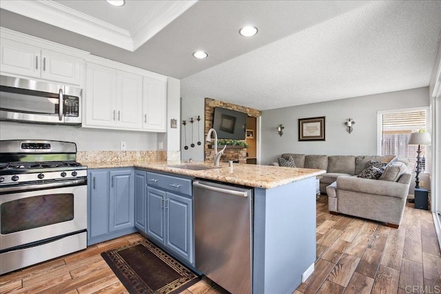 655 Boysenberry Way, Oceanside, CA 92057 - kitchen featuring stainless steel appliances, a sink, blue cabinets, open floor plan, and a peninsula