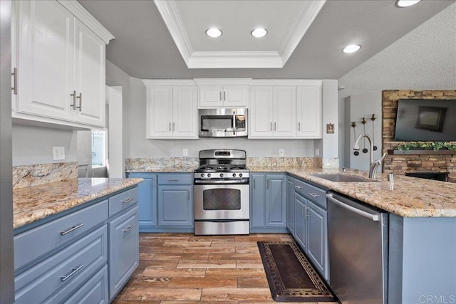 655 Boysenberry Way, Oceanside, CA 92057 - kitchen with stainless steel appliances, blue cabinetry, a tray ceiling, wood finished floors, and recessed lighting