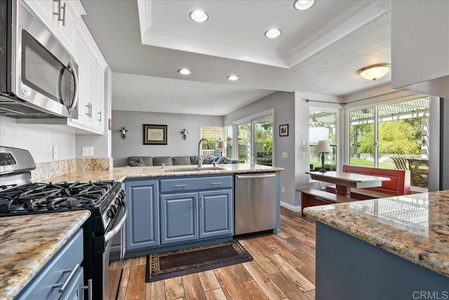 655 Boysenberry Way, Oceanside, CA 92057 - kitchen with stainless steel appliances, blue cabinetry, a raised ceiling, white cabinetry, and light wood finished floors