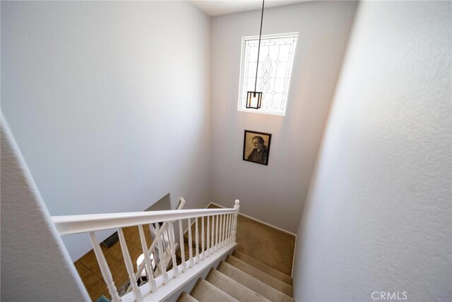 29183 Paperflower Ln, Menifee, CA 92584 - stairs featuring carpet floors and baseboards