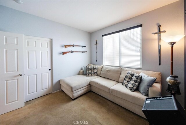 29183 Paperflower Ln, Menifee, CA 92584 - living room featuring carpet floors