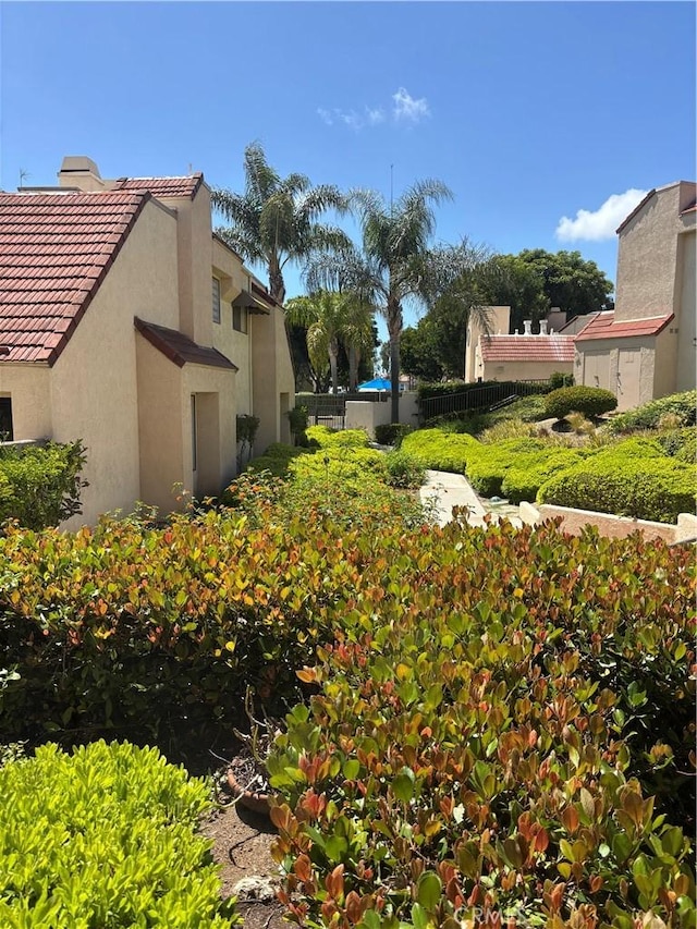 113 Pearl Unit 106, Laguna Niguel, CA 92677 - view of yard