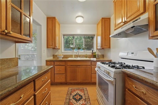 5179 Village, Los Angeles, CA 90016 - kitchen featuring under cabinet range hood, white range with gas cooktop, light wood-style floors, a sink, and brown cabinetry