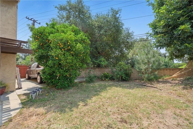 918 Sequoia Ct, San Dimas, CA 91773 - view of yard