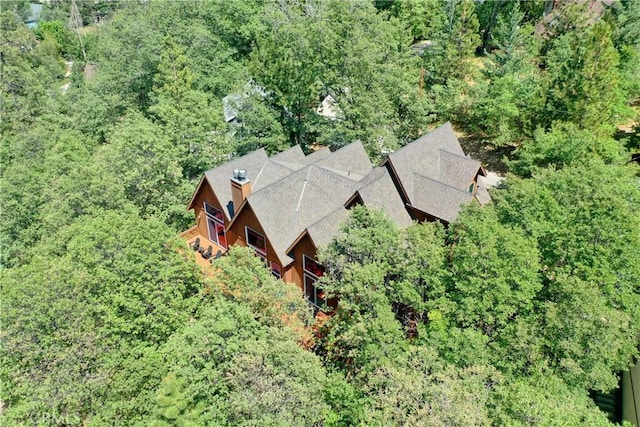 1019 Pintail Cir, Lake Arrowhead, CA 92352 - aerial view of property and surrounding area featuring a heavily wooded area