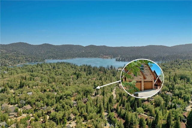 1019 Pintail Cir, Lake Arrowhead, CA 92352 - aerial view of property's location with a water and mountain view and property boundaries highlighted