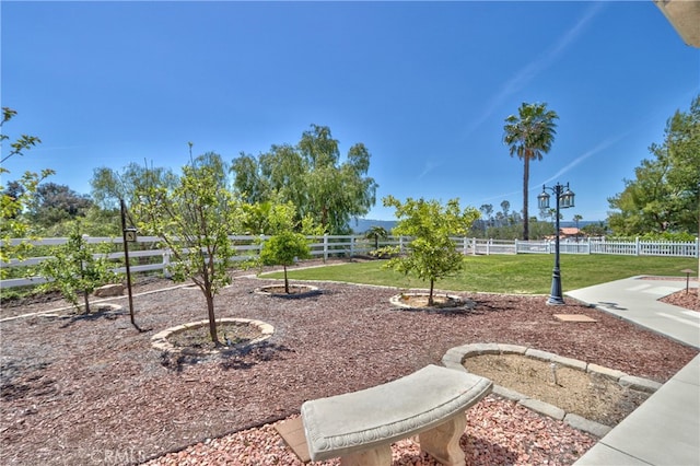 41380 La Sierra Rd, Temecula, CA 92591 - view of yard