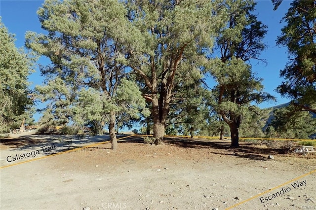 0 Calistoga Trl, Frazier Park, CA 93225 - photo 2