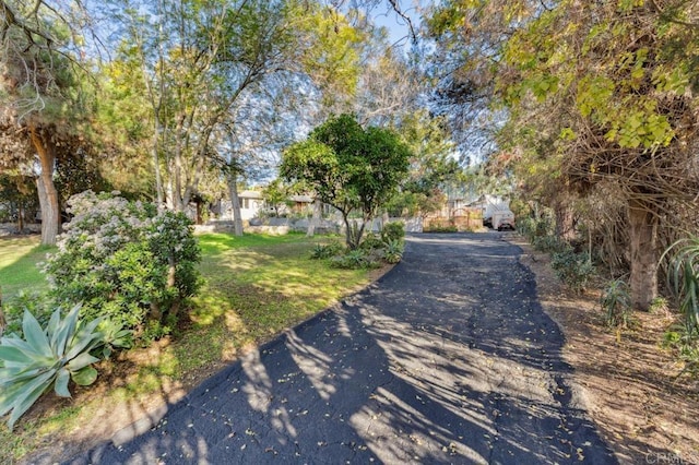 10880 Hess Dr, La Mesa, CA 91941 - view of asphalt driveway