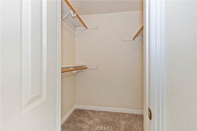7605 Pasito Ave, Rancho Cucamonga, CA 91730 - walk in closet with carpet floors