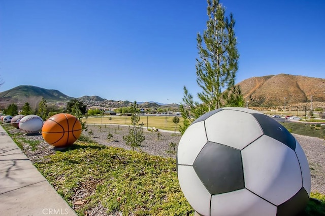 32367 Whispering Willow Dr, Lake Elsinore, CA 92532 - photo 56
