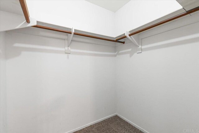 1105 Via Prado, Fallbrook, CA 92028 - spacious closet featuring carpet