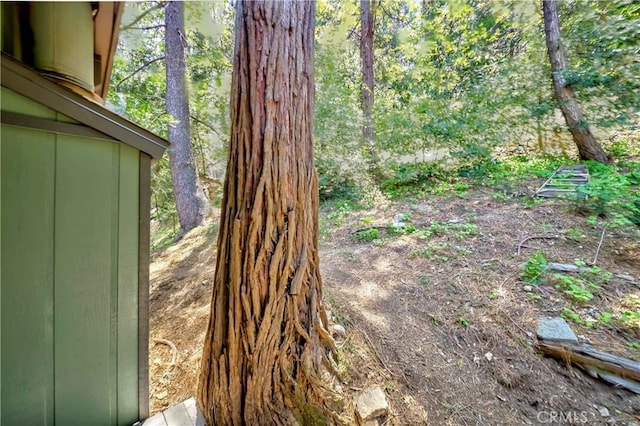 828 Fern Dr, Crestline, CA 92325 - photo 41