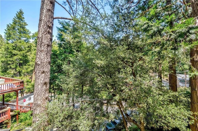 828 Fern Dr, Crestline, CA 92325 - photo 30