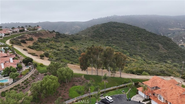 29461 Christiana Way, Laguna Niguel, CA 92677 - photo 44