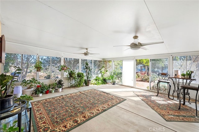 2311 Rose Rd, Fallbrook, CA 92028 - photo 42