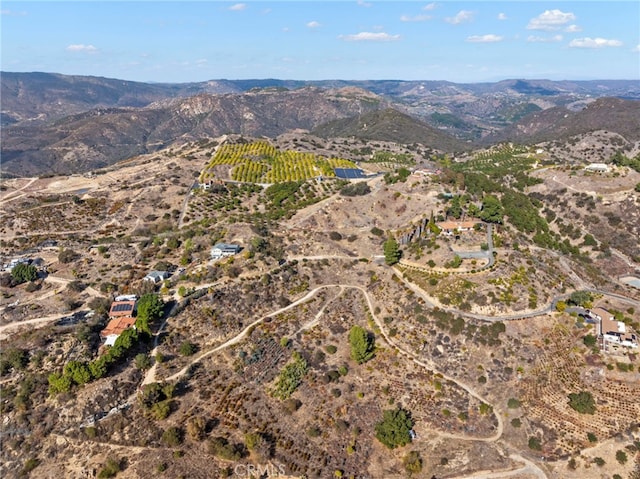 2311 Rose Rd, Fallbrook, CA 92028 - photo 65