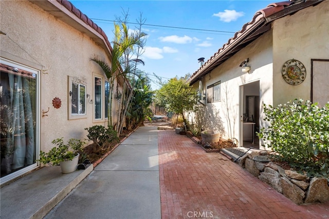 2311 Rose Rd, Fallbrook, CA 92028 - photo 50