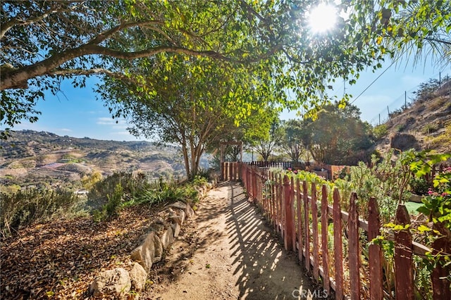 2311 Rose Rd, Fallbrook, CA 92028 - photo 47