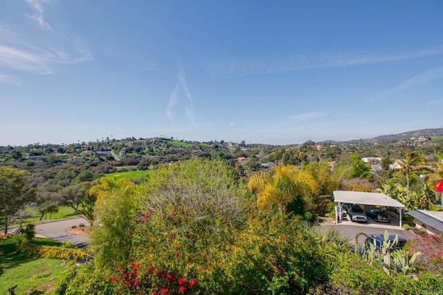 1628 Lone Oak Rd, Vista, CA 92084 - bird's eye view