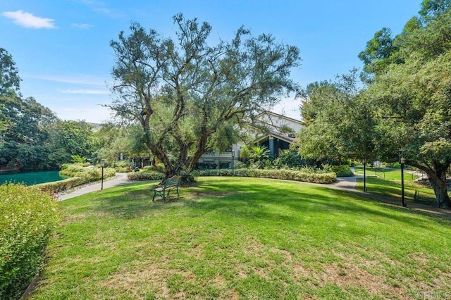 3213 Raintree Cir, Culver City, CA 90230 - view of grassy yard