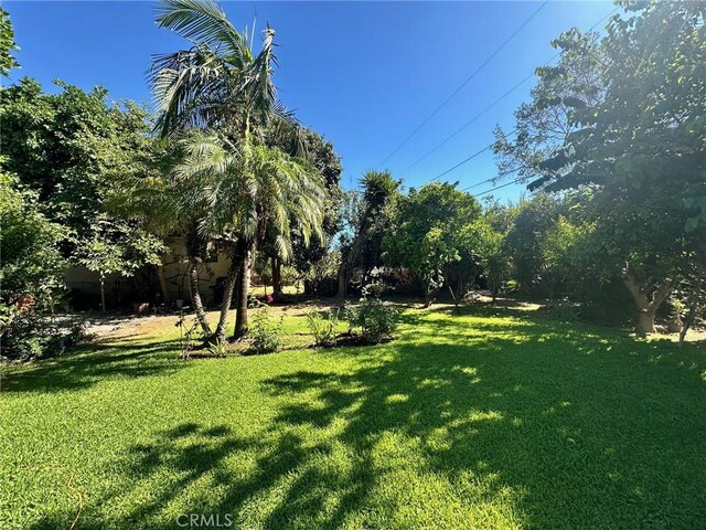 2707 Doreen Ave, El Monte, CA 91733 - photo 4