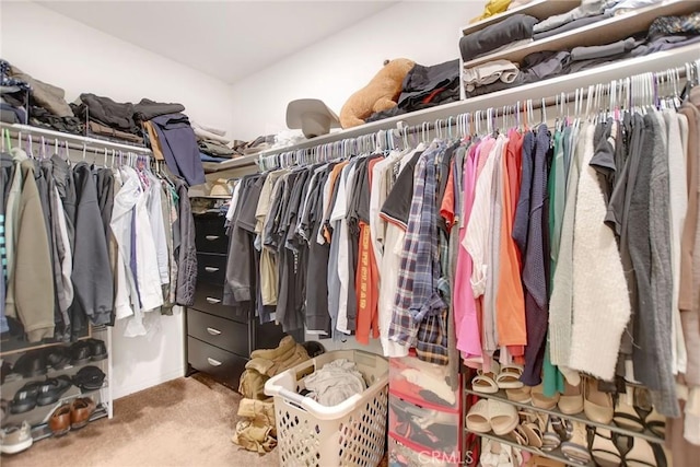 18026 Crabapple Ct, San Bernardino, CA 92407 - spacious closet featuring carpet flooring