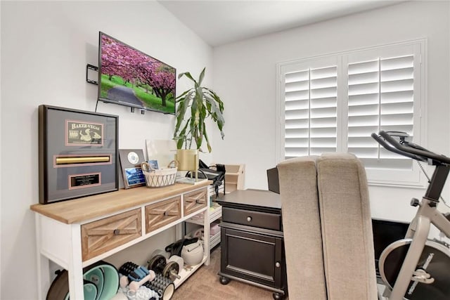 18026 Crabapple Ct, San Bernardino, CA 92407 - office area featuring light carpet