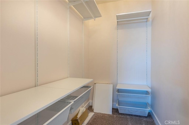 41134 Via Halcon, Temecula, CA 92591 - spacious closet with carpet flooring
