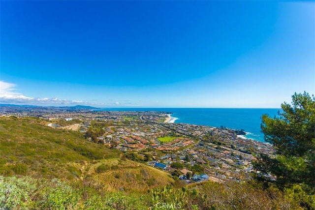 150 Vista Del Sol Ave, Laguna Beach, CA 92651 - photo 42