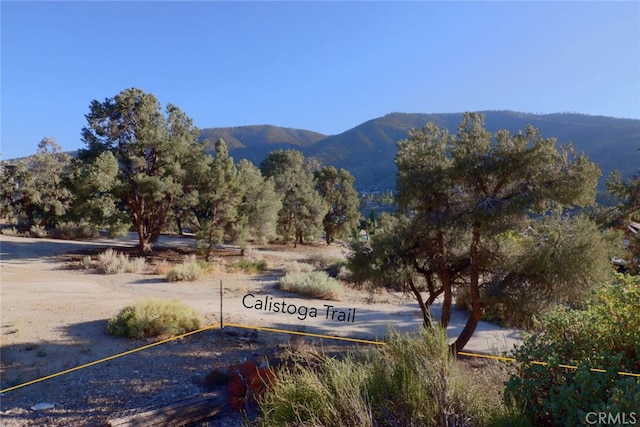 0 Santa Clara Trl, Frazier Park, CA 93225 - photo 2