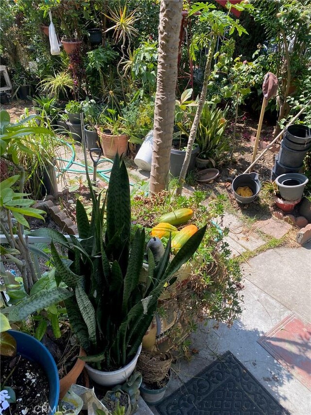 1120 E 103rd Pl, Los Angeles, CA 90002 - photo 22
