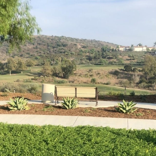 2 Corte Arbertura, San Clemente, CA 92673 - view of yard